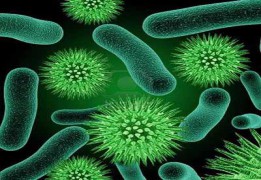 فرش ماشینی  آنتی باکتریال چیست ؟